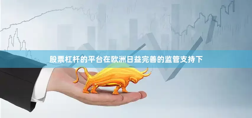 股票杠杆的平台在欧洲日益完善的监管支持下